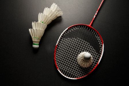 引人注目的 引人注目的