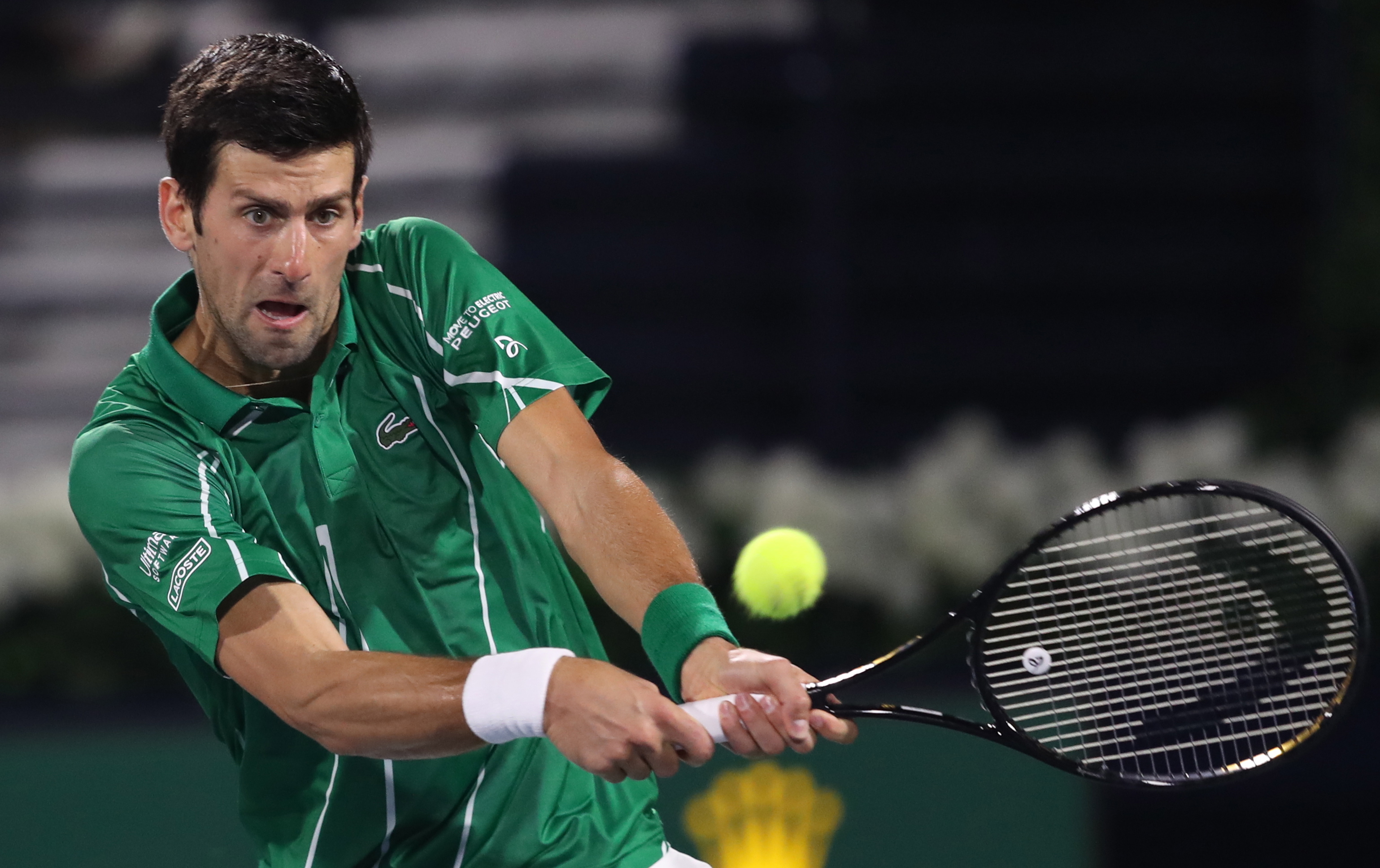 供最为专业 供最为专业